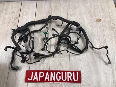 Проводка ДВС nissan teana J32 QR25DE 2008 (б/у)