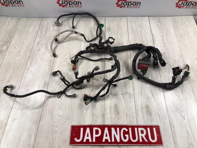 Проводка ДВС Nissan X-Trail NT31 MR20 2012 (б/у)
