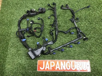 Проводка ДВС Honda Accord 8 K24A 2010 (б/у)